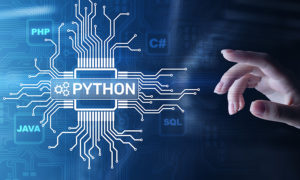 Python Tutorial on Portfolio Data and Account Information