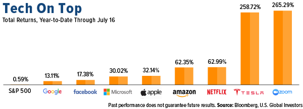 Tech on top: total returns, year to date through july 16 2020