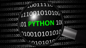 Accessing the TWS Python API Source Code