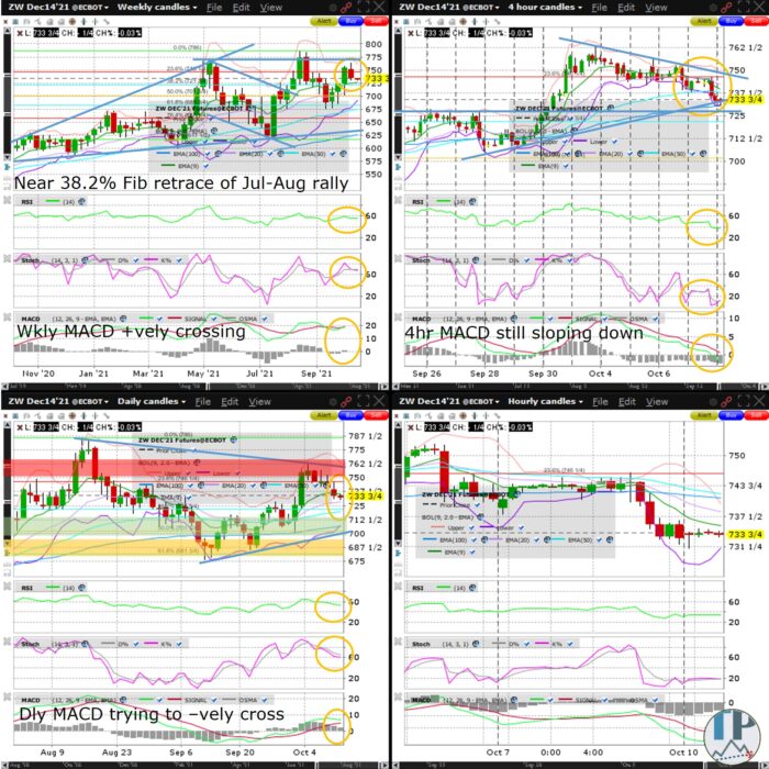 Wheat (ZW) Weekly MACD Positively Crossing