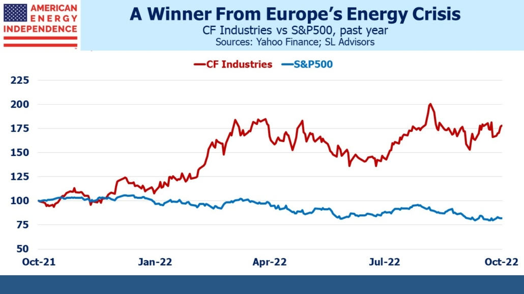 CF industries vs S&P500, past year
