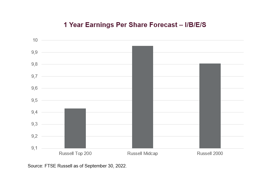 1 Year Earnings Per Share Forecast - I/B/E/S