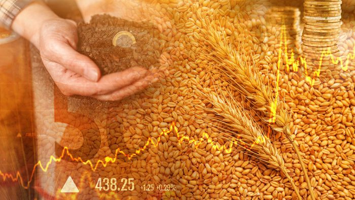 Eat These Trades: Understanding Agricultural Commodities, Futures & Inflation