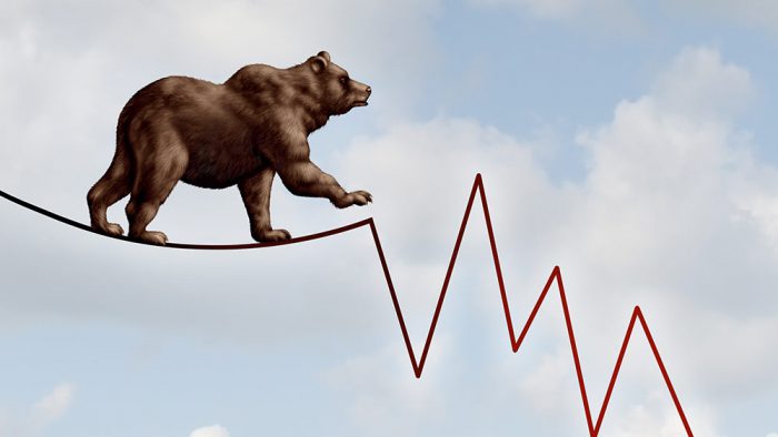 How to Survive (And Thrive) in a Bear Market