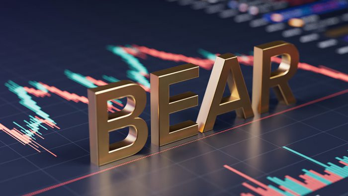 Option Strategies for a Bear Market