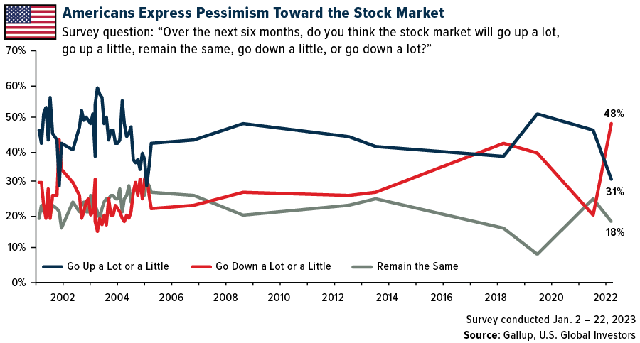Americans Express Pessimism Toward the Stock Market