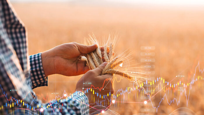 Global Agriculture: Trends and the Opportunity