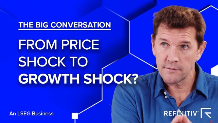 From Price Shock to Growth Shock