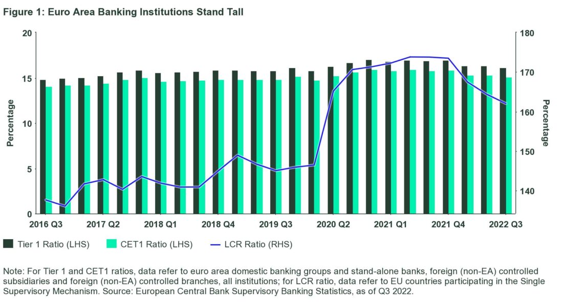 Figure 1: Euro Area Banking institutions stand tall