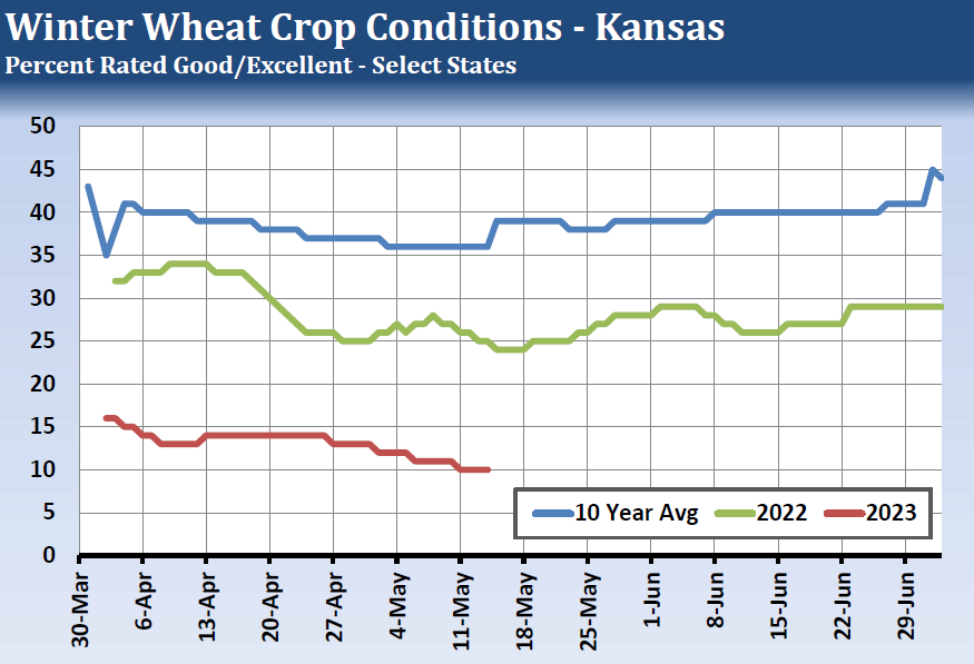 winter wheat crop conditions - Kansas