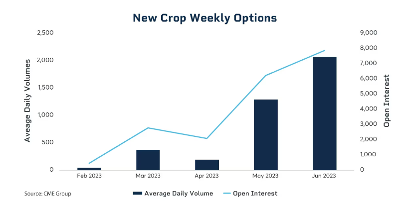 new crop weekly options
