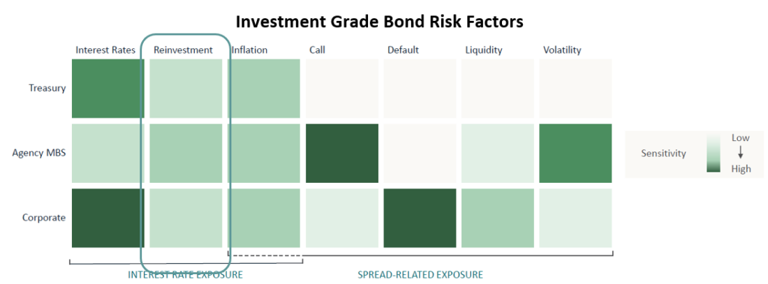 investment grade bod risk factors