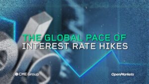Economist Perspective: The Global Pace of Interest Rate Hikes