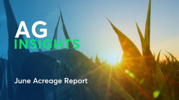 Ag Insights: June Acreage Report