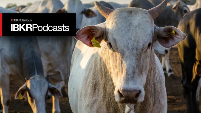 Live Cattle Futures – Herd Around the World  