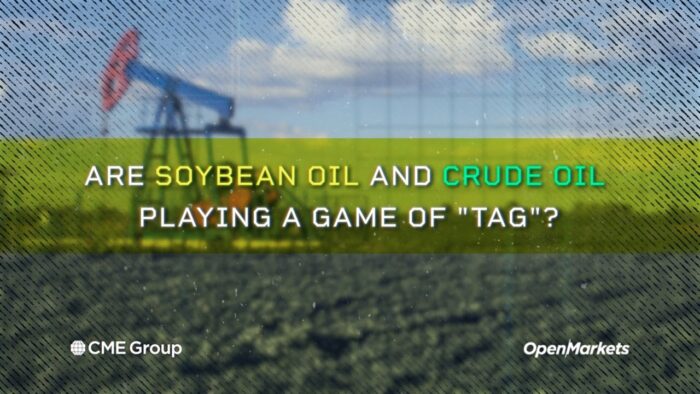 Economist Perspective: Are Soybean Oil and Crude Oil Playing A Game of “Tag”?