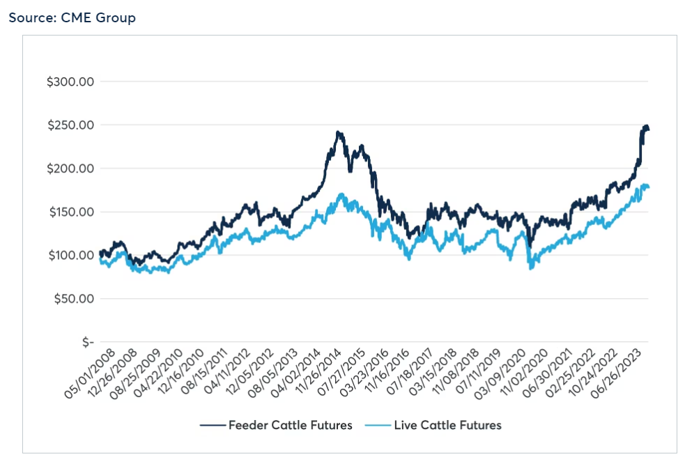 Front-month Live Cattle and Feeder Cattle futures daily settlement price, $/cwt