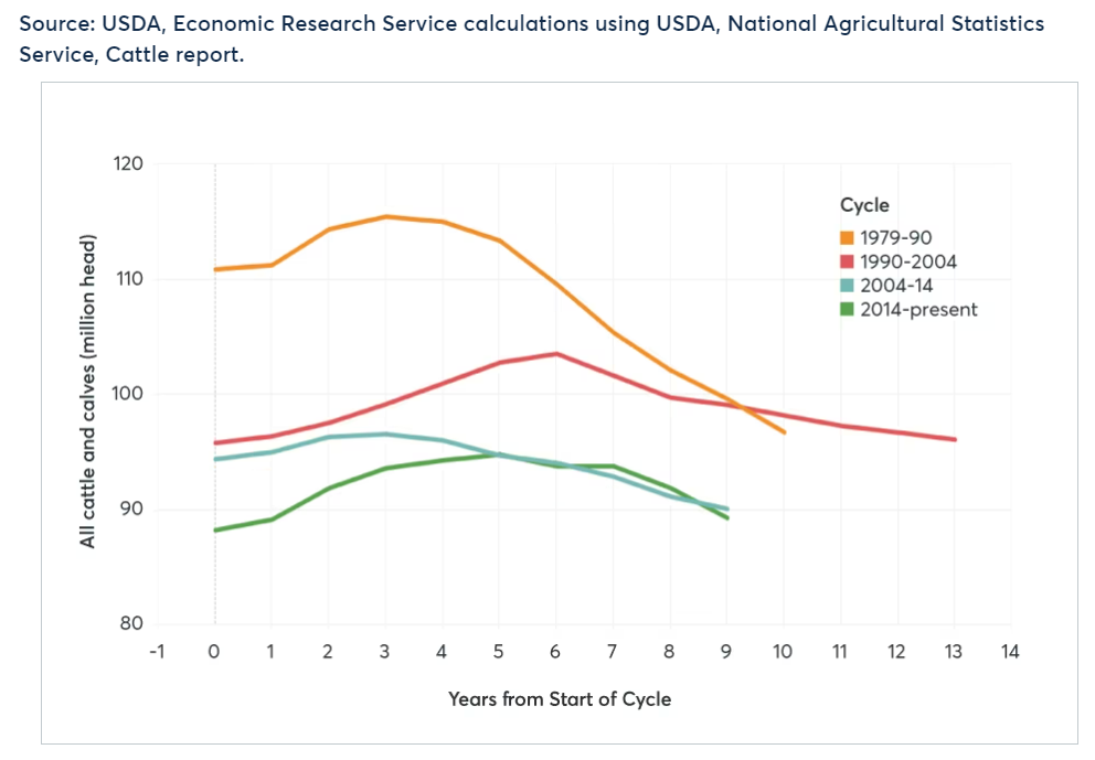 U.S. cattle inventory by cycle, 1979-present