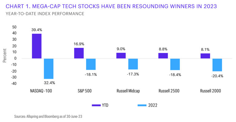 mega-cap tech stocks have been resounding winners in 2023