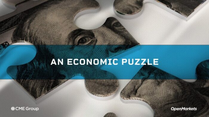 Economist Perspective: An Economic Puzzle