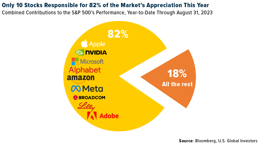 only 10 stocks responsible for 82% of the market's appreciation this year