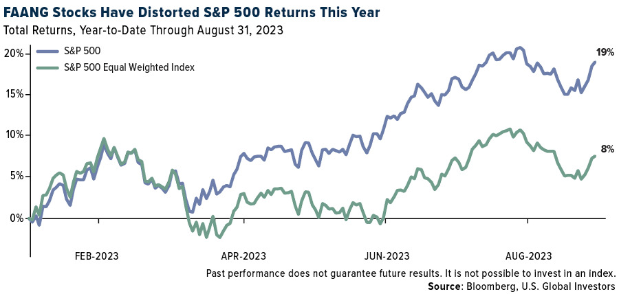 FAANG stocks have distorted S&P 500 returns this year