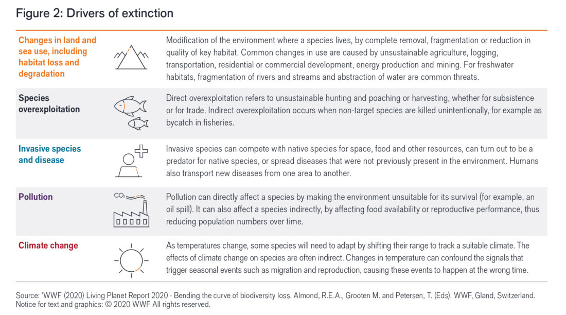Figure 2: Five key drivers of species extinction
