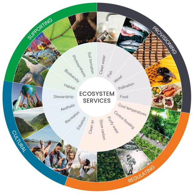 Figure 1: Ecosystem services
