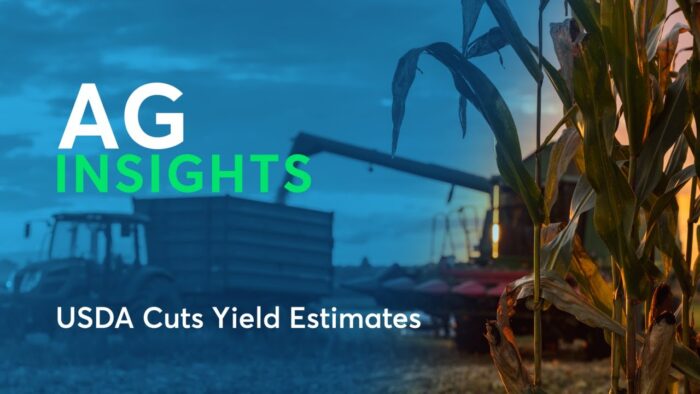 Ag Insights: USDA Cuts Yield Estimates