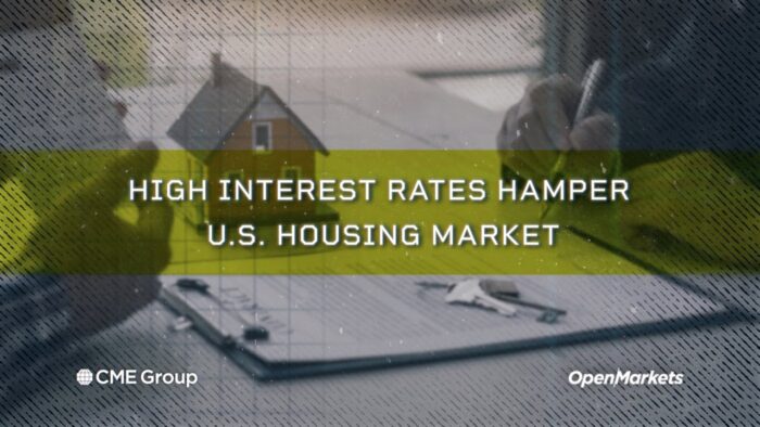 Economist Perspective: High Interest Rates Hamper U.S. Housing Market