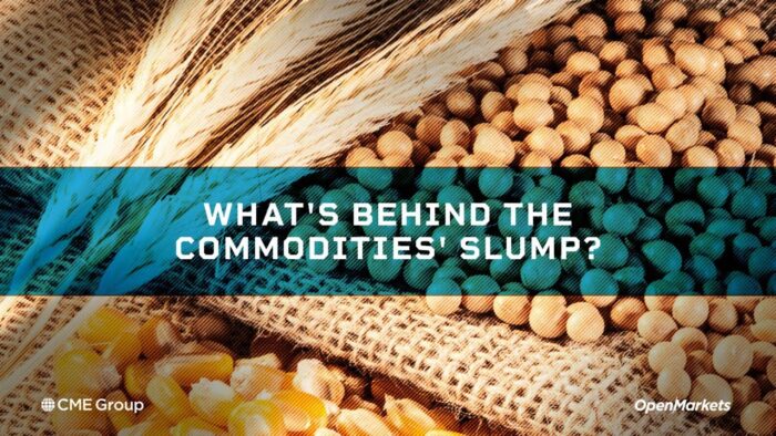 Economist Perspective: What’s Behind the Commodities’ Slump?