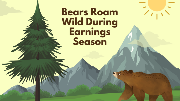 Bears Roam Wild During Earnings Season, Highlighting Two Tech Platform Firms with Preliminary Reports