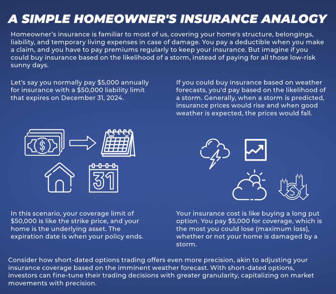 Homeowner's Insurance Analogy