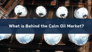 What is Behind the Calm Oil Market?